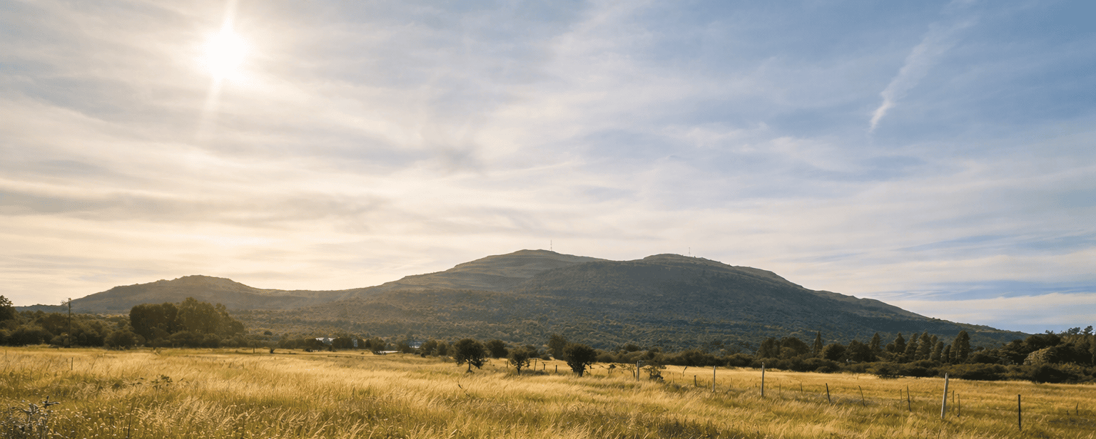 Grassland and Madeira Mountain in late-afternoon light, outside Komani