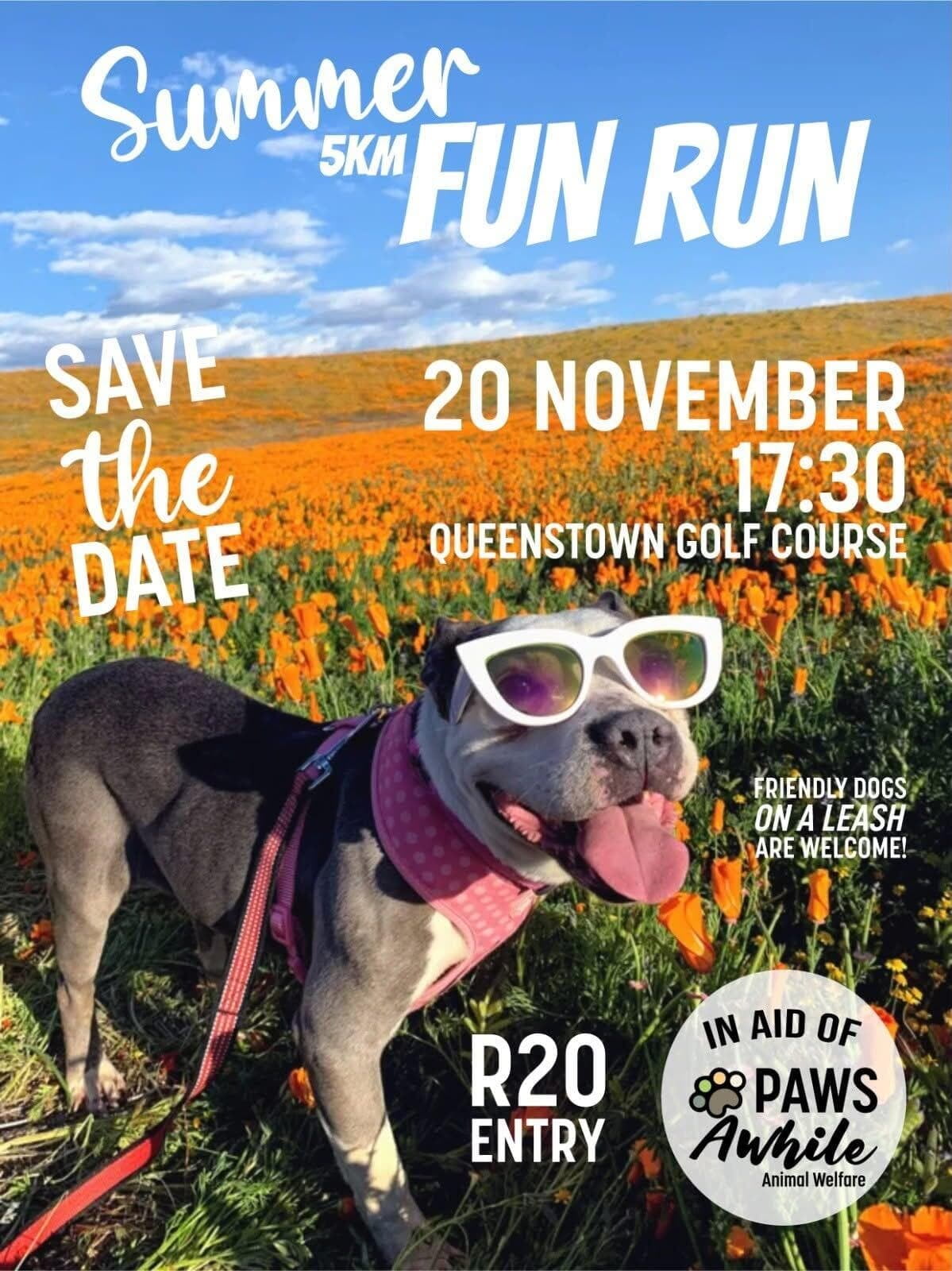 Summer 5km Fun Run